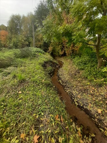 działka na sprzedaż Zielona Góra Drzonków DRZONKÓW-STRUMYKOWA 16 1200 m2