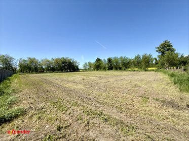 Do sprzedania działka 2450 m² z mediami i warunkami zabudowy działka Targowa Górka, Antoniego Kosińskiego
