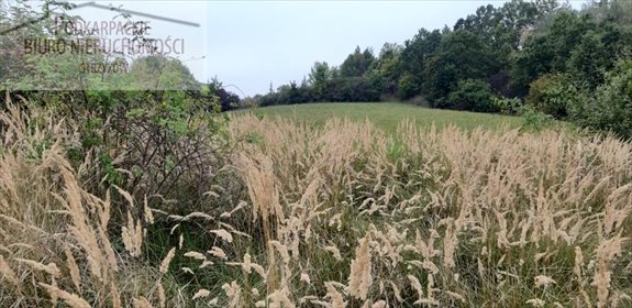 działka na sprzedaż 4300m2 działka Babica