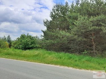 działka na sprzedaż 2002m2 działka Kania Góra