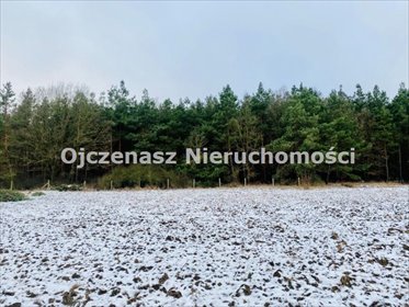 Na sprzedaż działka 1400 m² z warunkami zabudowy i mediami działka Stronno