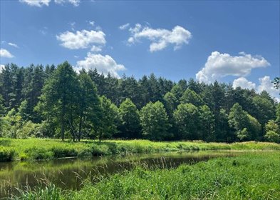 Polecam działki rekreacyjne nad Wartą 750-830 m², sprzedaż działka Dworszowice Kościelne