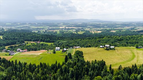działka na sprzedaż 2400m2 działka Żurowa