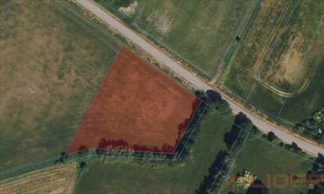 działka na sprzedaż 4900m2 działka Końcowizna