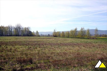 działka na sprzedaż 1500m2 działka Wolimierz, Wolimierz
