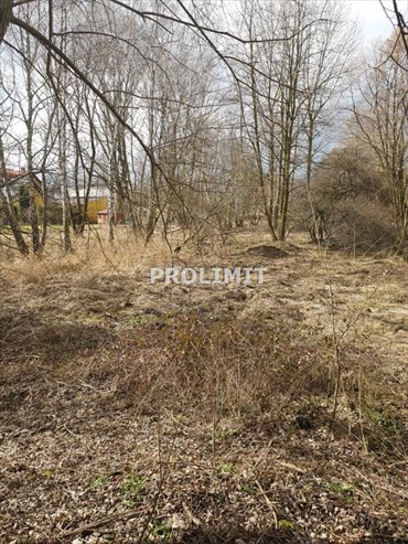 działka na sprzedaż 2950m2 działka Katowice, Panewniki