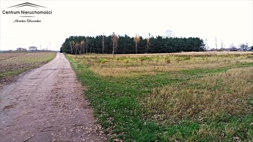 Działka rolna na sprzedaż Kokocko 16 500m2 Foto 2