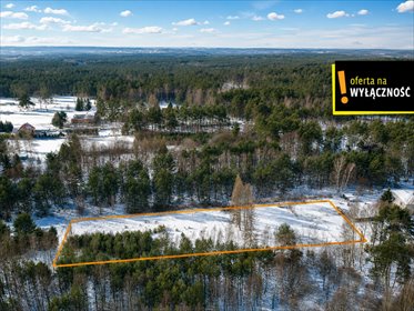 Do sprzedania działka 3 200 m² w lesie, blisko Kielc działka Kranów