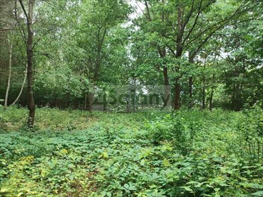 Na sprzedaż działka 937 m² w Komorowie z mediami i planem MN działka Komorów