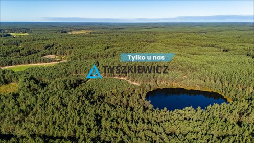 działka na sprzedaż 91700m2 działka Nierostowo
