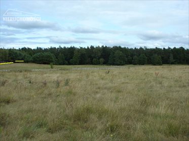 Działka rolna na sprzedaż Lubień, Lubień 46 500m2 Foto 6