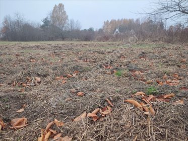 działka na sprzedaż 1000m2 działka Rusiec