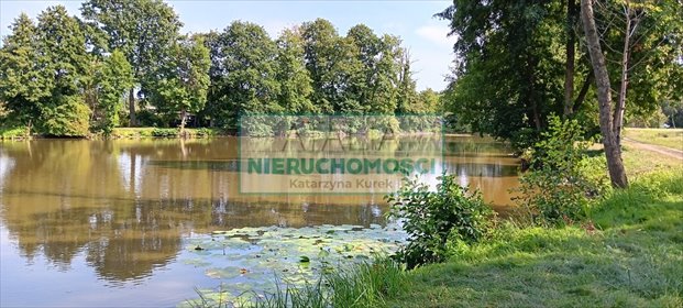 Działka inwestycyjna z stawami i wyspą, rekreacja i usługi działka Grodzisk Mazowiecki
