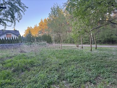 1233 m² spokoju. Las za płotem w Puszczykowie działka Puszczykowo, Jeździecka