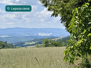 Działka 3700 m² w Karkonoszach - zapraszam działka Dziwiszów