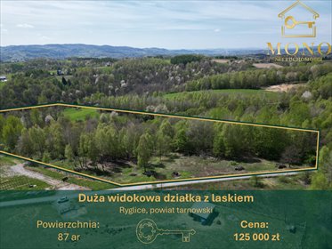 działka na sprzedaż 8700m2 działka Ryglice