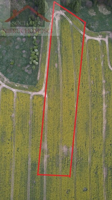 działka na sprzedaż 15600m2 działka Olszyna