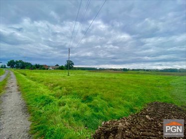 Zapraszam do obejrzenia działki 7040 m² z linią brzegową w Gryficach działka Gryfice