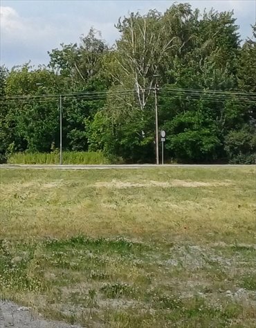 działka na wynajem 5000m2 działka Warszawa, Ursynów, Jeziorki Południowe