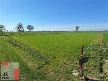 działka na sprzedaż 1482m2 działka Oborniki