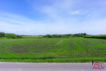 Działka inna na sprzedaż Rożdżałów 10 000m2 Foto 1