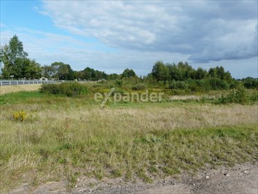 działka na sprzedaż 4500m2 działka Blinno