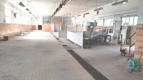 Magazyn na sprzedaż Sobota, Zachodnia 16 800m2 Foto 2