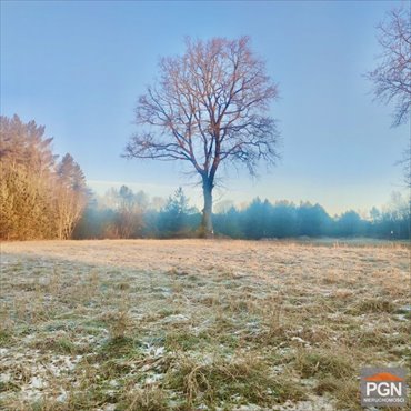 działka na sprzedaż 999m2 działka POBIEROWO OKOLICA