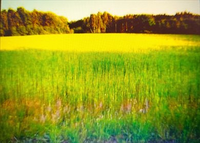 działka na sprzedaż 9600m2 działka Ściechów