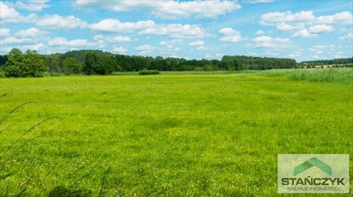 działka na sprzedaż 4800m2 działka Wisełka