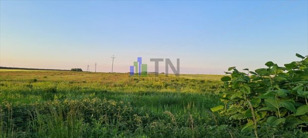 Działka przemysłowa 24 400 m² przy głównej drodze w Ratowicach działka Ratowice