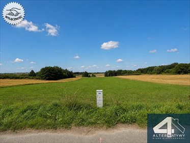 działka na sprzedaż 9900m2 działka Jeleniów, Jeleniów