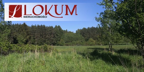 działka na sprzedaż 2240m2 działka Czapielsk, Skrzypowa