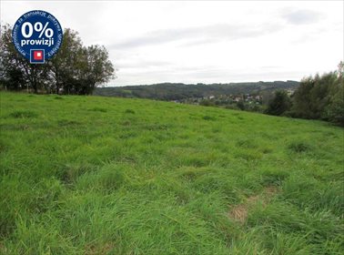 działka na sprzedaż 6500m2 działka Chmielnik, Chmielnik, Chmielnik
