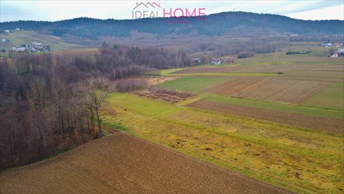 Działka budowlana na sprzedaż Brzyska 7 090m2 Foto 6