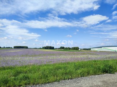działka na sprzedaż 52959m2 działka Ochocice