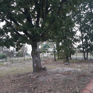 działka na sprzedaż 730m2 działka Warszawa, Wawer, Międzylesie, Skalnicowa