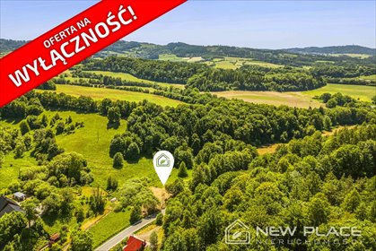 działka na sprzedaż 2400m2 działka Dańczów