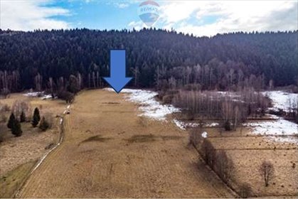 działka na sprzedaż 22200m2 działka Las