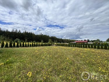 Działka ROD 477 m² z nasadzeniami i opcją domku letniskowego działka Osuchów, Spokojna