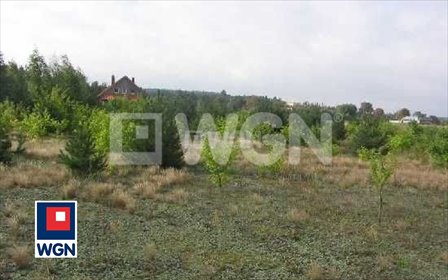 działka na sprzedaż 1511m2 działka Ostrowina, Ostrowina, Ostrowina