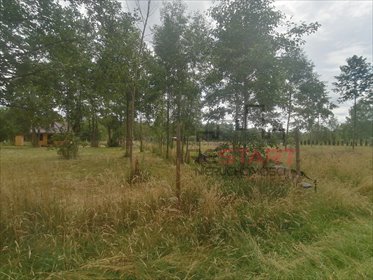 Działka 1244 m² pod dom i rekreację (Radziejowice) działka Stare Budy Radziejowskie