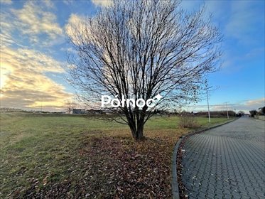 działka na sprzedaż 8236m2 działka Zajączkowo