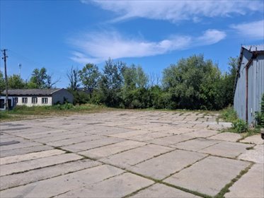 działka na wynajem 2000m2 działka Błonie
