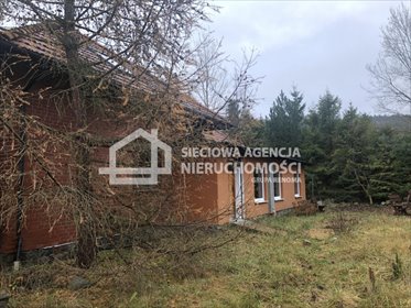 Polecam przestronną działkę 5800 m² z domem, stawem i lasem działka Rumia