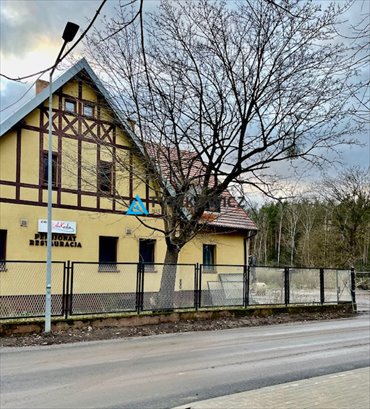 działka na sprzedaż 9761m2 działka Sokole-Kuźnica