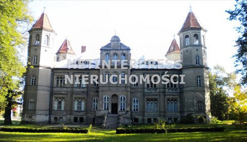 Lokal użytkowy na sprzedaż Dąbrówka Wielkopolska 4 500m2 Foto 4