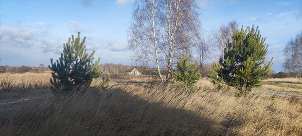 działka na sprzedaż 1000m2 działka Borzęcin Mały