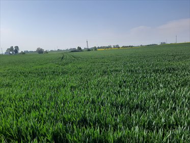 działka na sprzedaż 38186m2 działka Wybcz