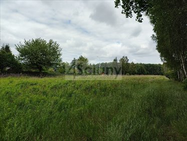 Działka 2365 m² pod dom jednorodzinny w Strzeniówce. działka Strzeniówka